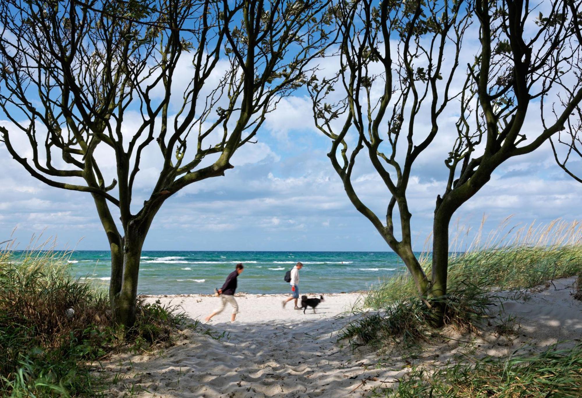 Ferienanlage Poschmann Strohboden Insel Poel Ngoại thất bức ảnh